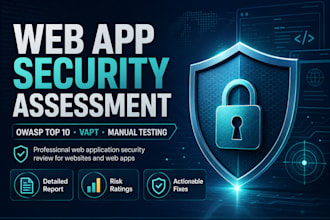 perform a web application security assessment