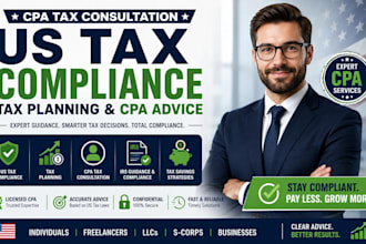 provide US tax compliance, tax planning and CPA tax consultation