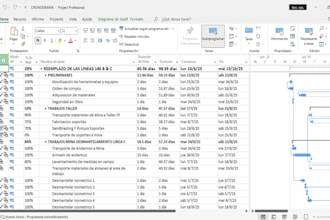 create a professional gantt chart and wbs in ms project