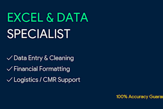 do professional excel data entry, data cleaning, and financial formatting