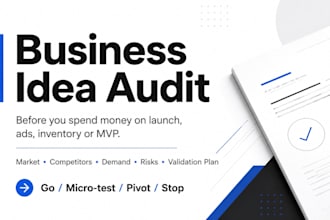 audit your business idea before you spend money on launch, ads or inventory