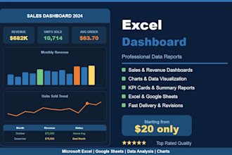create a professional excel sales dashboard and data report