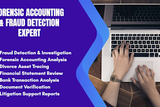 provide forensic accounting services for fraud detection, divorce asset tracing