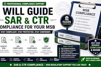 provide sar CTR compliance support for msb