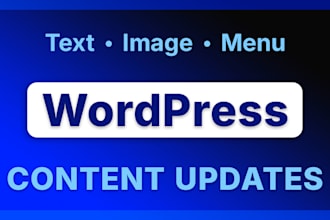 do professional wordpress content editing and updates