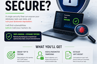 perform web application penetration testing and security vapt audit