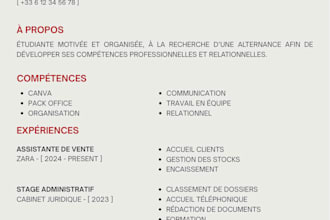 create a modern and professionnal canva CV