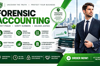 perform forensic accounting, fraud investigation and fraud detection