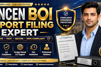 file fincen boi report for your USA llc company