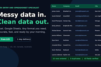 do data entry and spreadsheet work for your business