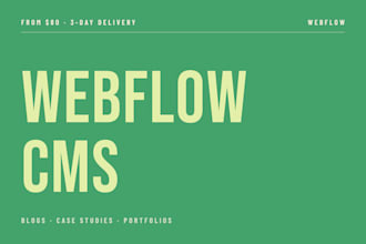 set up your webflow cms with collections and dynamic pages