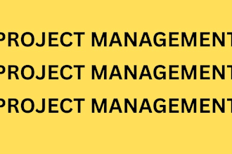 do project management and manage project