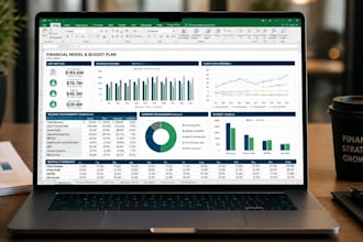 create a professional budget model and financial plan