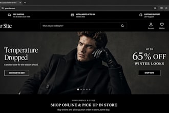 fast, professional websites that get results