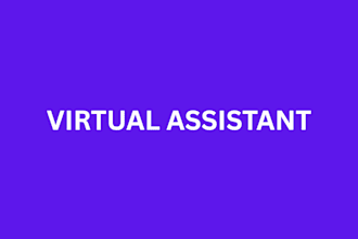 general virtual assistant instagram assistant
