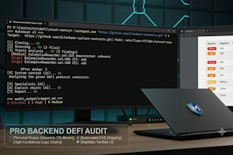 perform professional smart contract audit and solidity security
