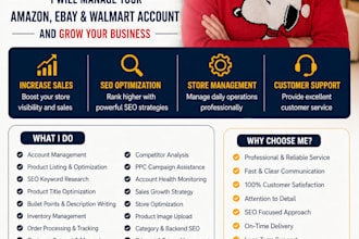 manage your amazon, ebay, and walmart account sales and operations with SEO