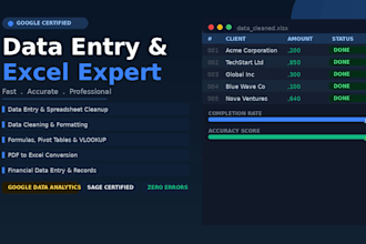 do fast and accurate data entry and excel spreadsheet work