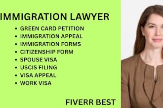 handle immigration petitions, visa applications, and green card matters