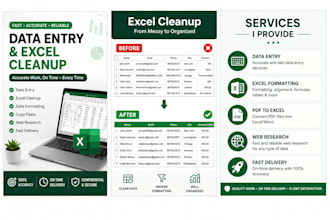 do accurate data entry and excel data cleanup