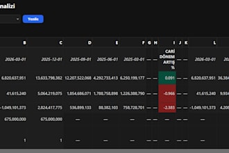 calculate the exact value of the share in turkish stock market to buy safely