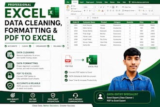 excel data cleaning data entry PDF to excel expert