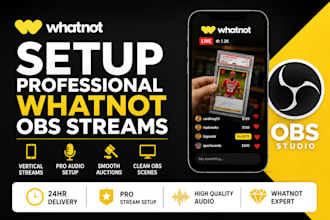 setup professional whatnot obs streams for auction sellers