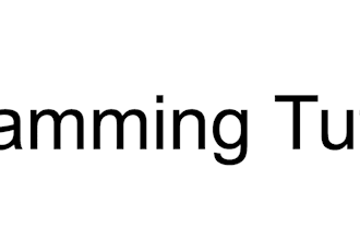 teach python and javascript programming