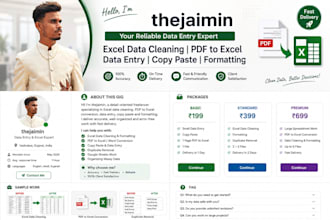 be your reliable data entry and excel expert