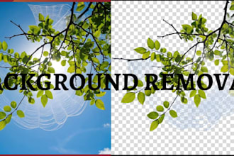 remove background from image and provide transparent png