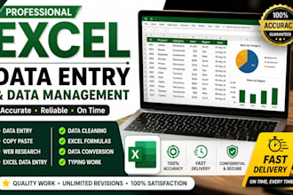 do professional microsoft excel data entry and formatting