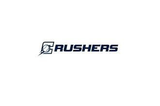 design unique baseball team logo
