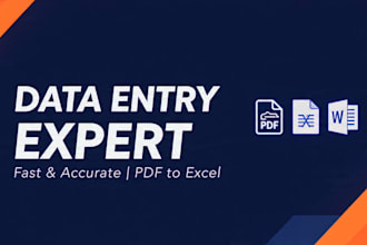 professional data entry typing and google sheets work