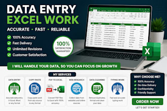 do fast and accurate data entry, excel cleanup and spreadsheet work