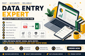 clean excel data entrys