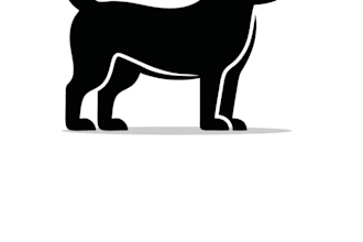 do professional unique pet, dog, animal, custom logo design