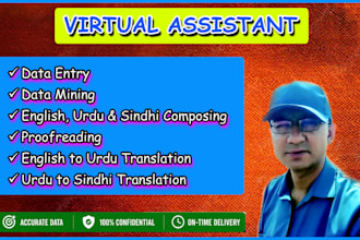 do typing, retyping, proofreading english, sindhi and urdu