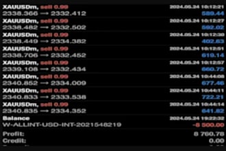 setup profitable forex trading bot, forex robot, trading bot, forex ea bot