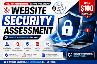 perform professional website security assessment and vapt