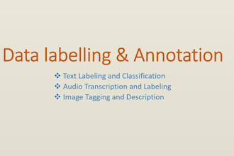 provide accurate text, audio and image data annotation for ai and ml