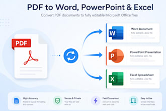 professionally convert the pdf into word and PPT