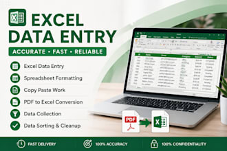do excel data entry and spreadsheet formatting