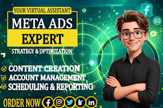 social media manager instagram ads campaign meta ads leads