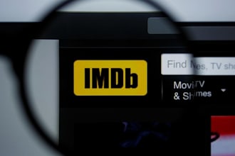 provide imdb movie promotion and profile optimization,improvement,credit update