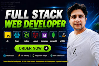 develop any type of website php laravel react node developer