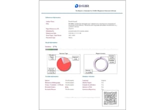 professionally format word documents, reports and sops