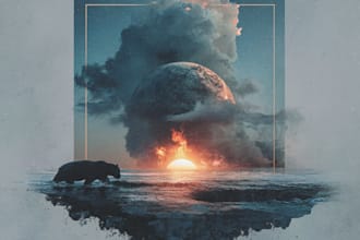 design album or single cover art