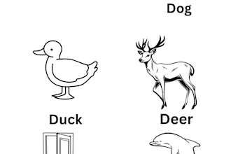 design educational kids alphabet worksheets and fiashcards