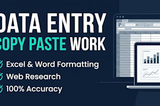 do expert data entry and copy work