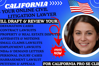 be your california civil litigation lawyer for defamation petition lawsuit